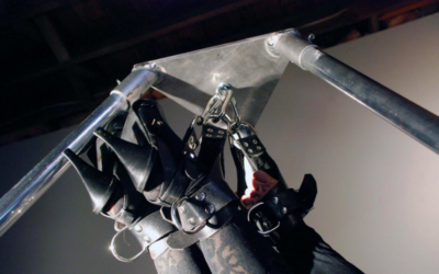 Integrating Conscious Kink into the Psychology of Kink