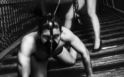 The Intricate Role of Kink Symbols for Power Play in Sex